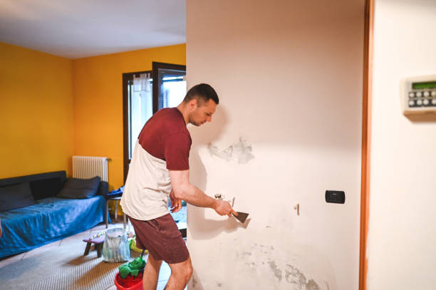 Best Home Mold Removal  in Little Cypress, TX